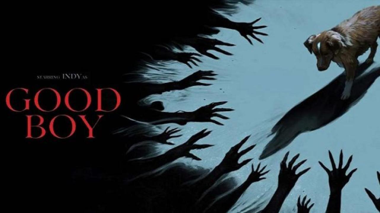 مشاهدة فيلم Good Boy 2025 مترجم 