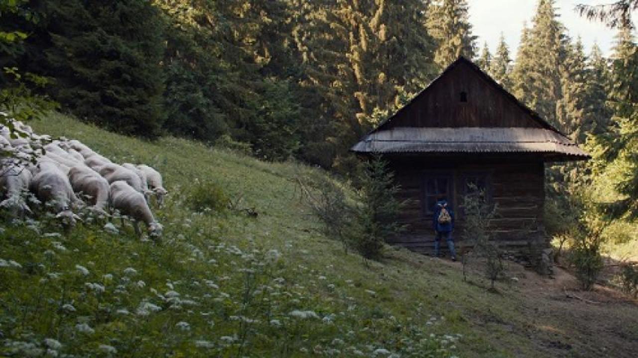 مشاهدة فيلم Nightsiren 2022 مترجم 