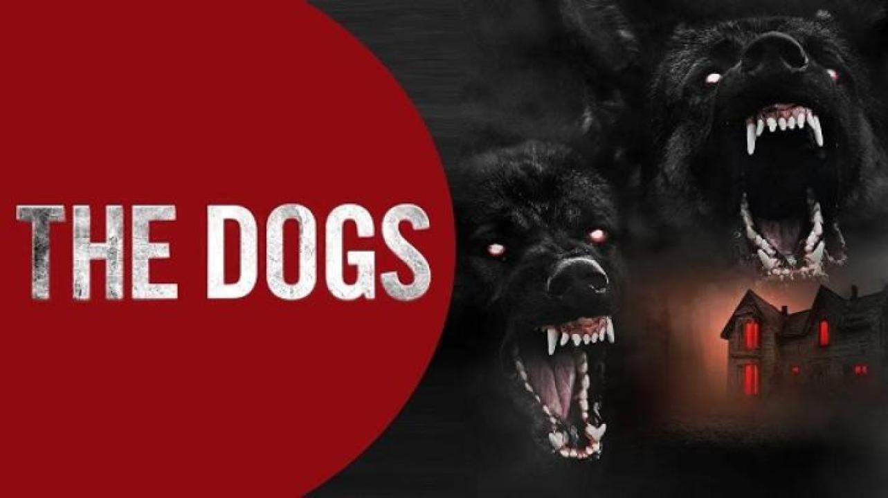 مشاهدة فيلم The Dogs 2025 مترجم 