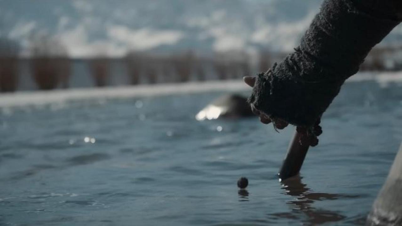 مشاهدة فيلم Gaami 2024 مدبلج 