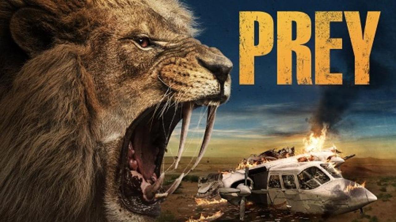 مشاهدة فيلم Prey 2024 مترجم 