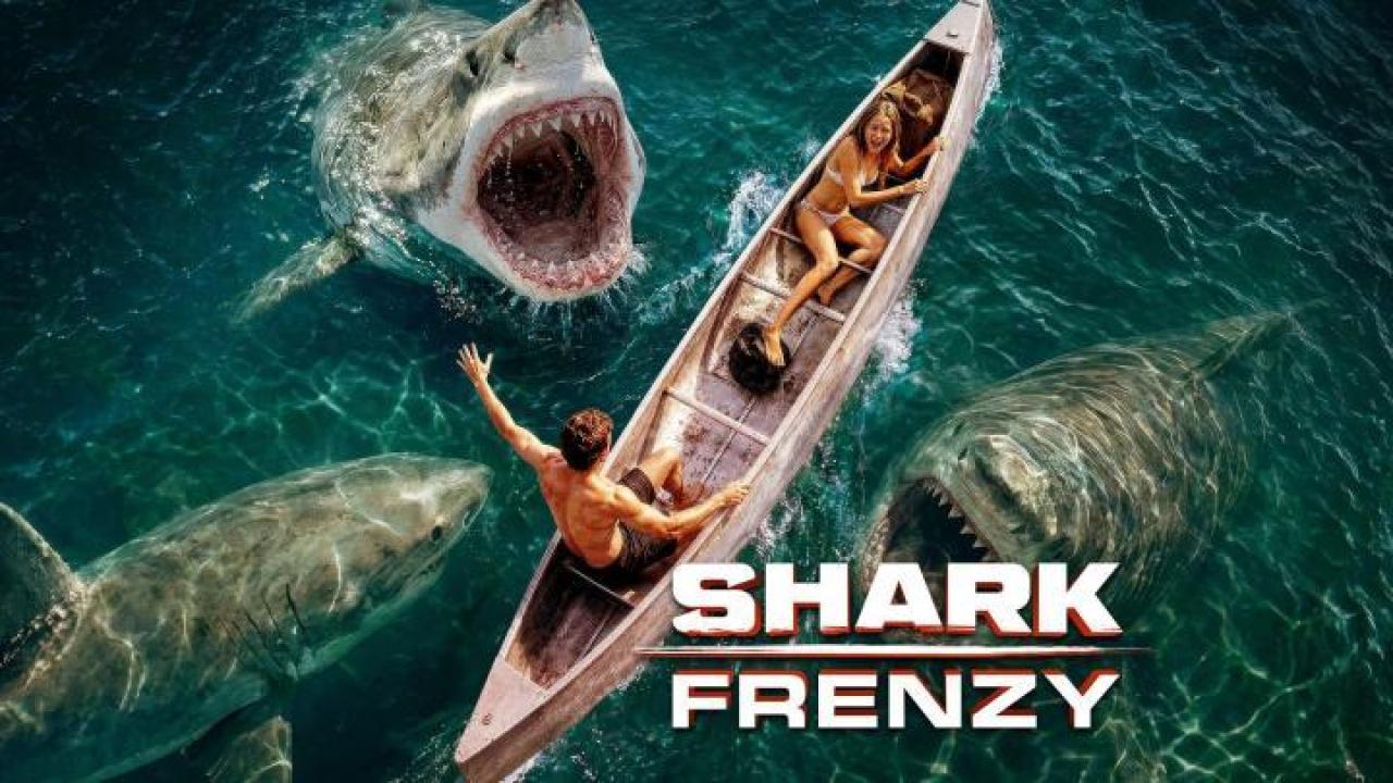 مشاهدة فيلم Shark Frenzy 2026 مترجم