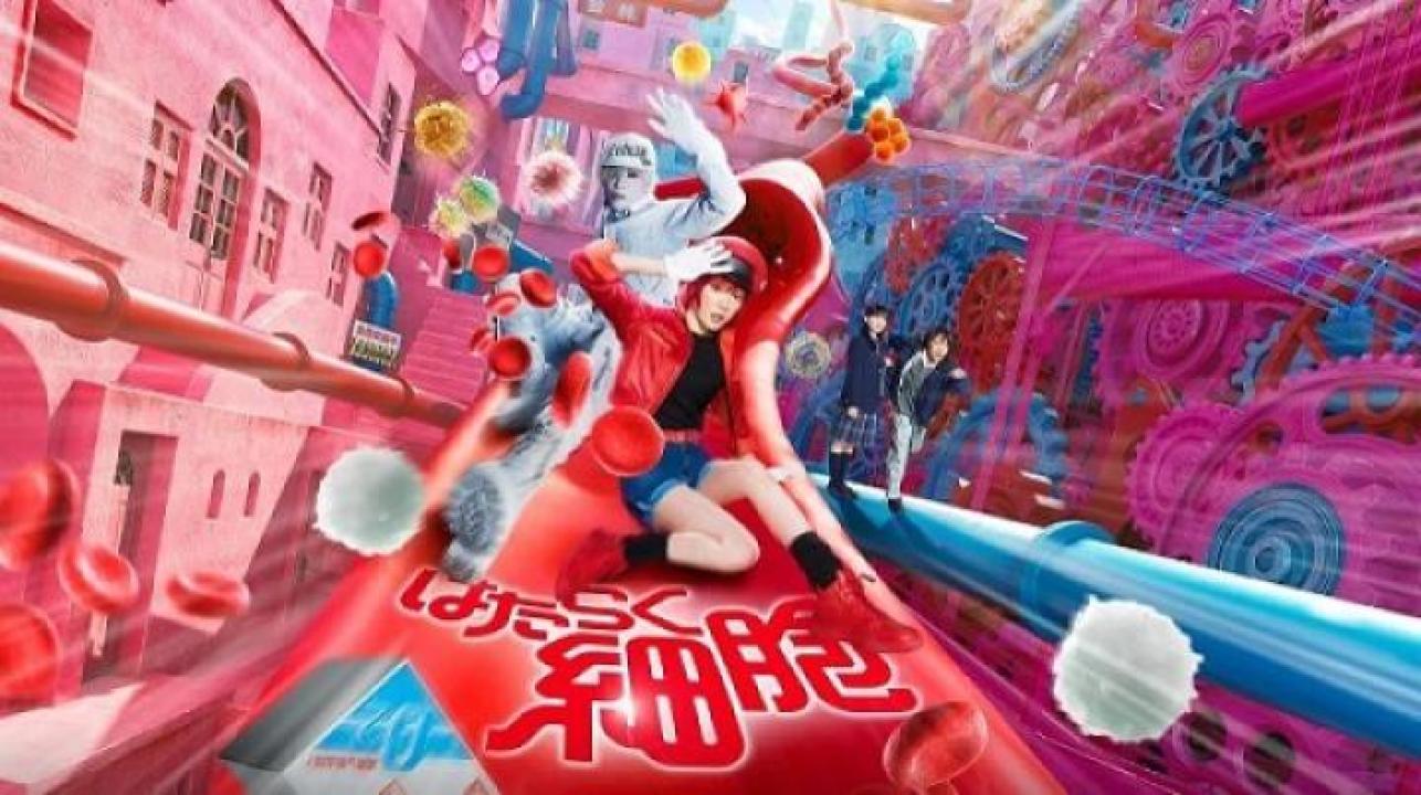 مشاهدة فيلم Cells at Work 2024 مترجم 
