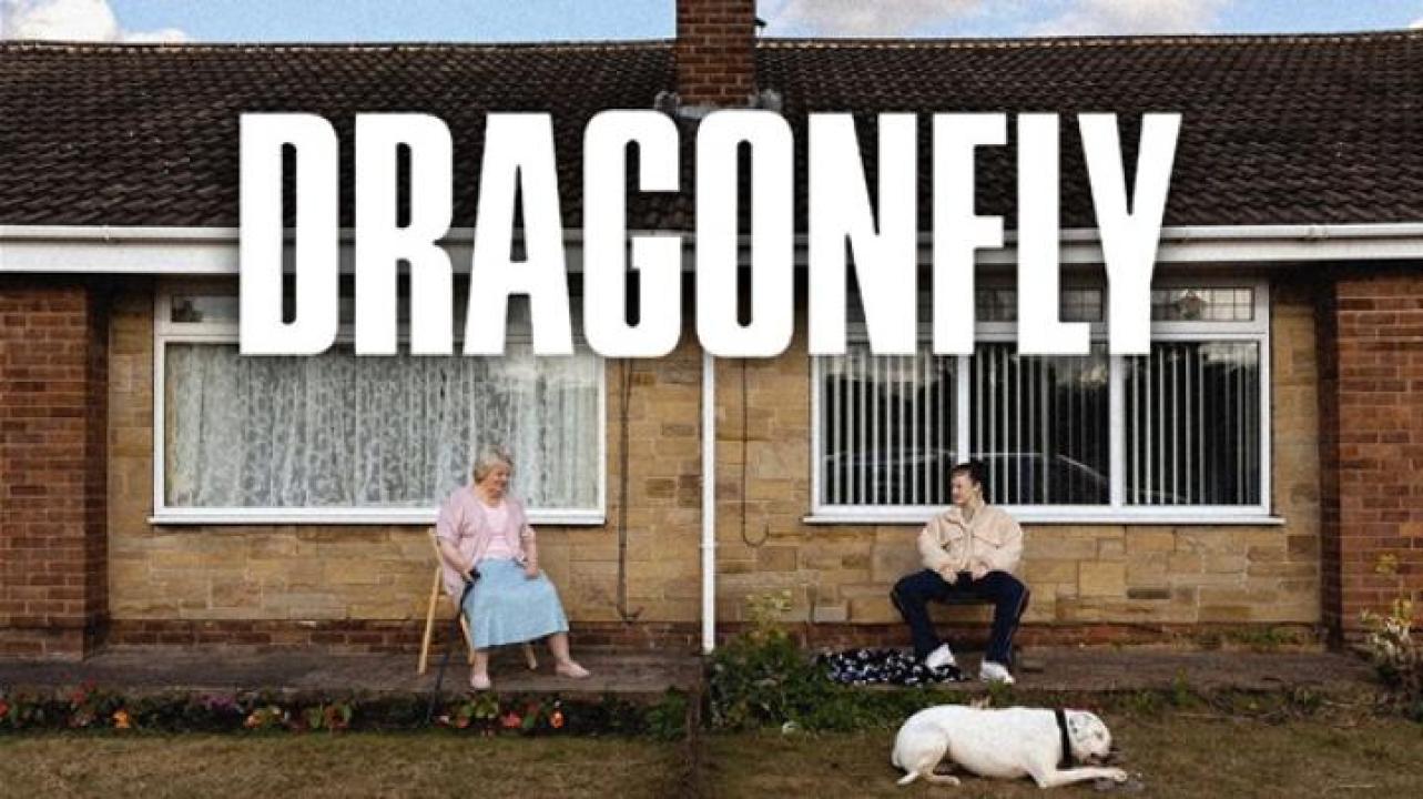 مشاهدة فيلم Dragonfly 2025 مترجم 