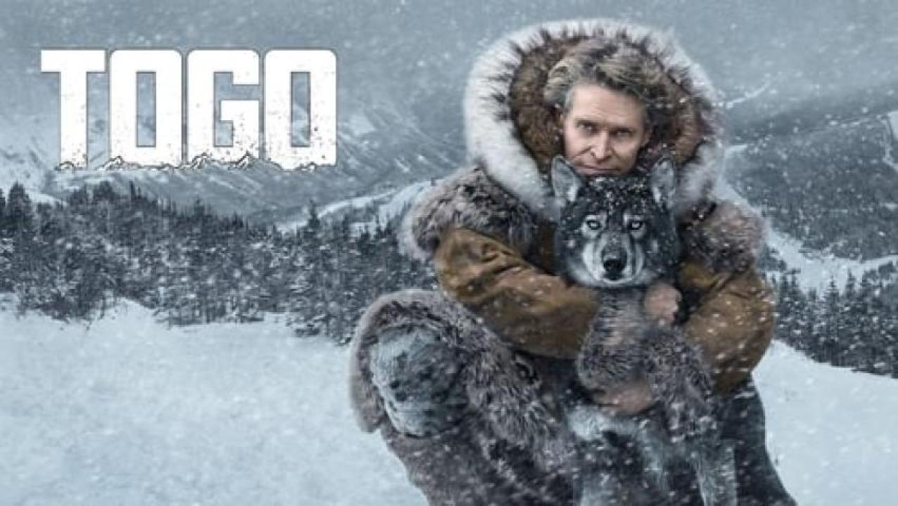 مشاهدة فيلم Togo 2019 مترجم 