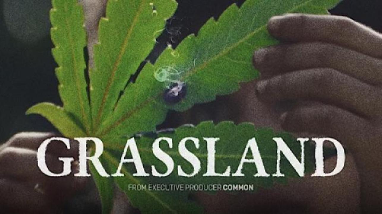 مشاهدة فيلم Grassland 2024 مترجم 